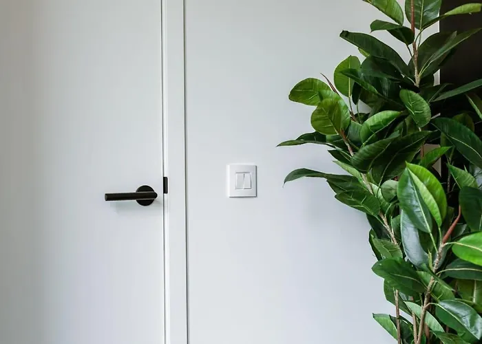 Huswell - Cozy A Stone's Throw From The Apartment Ostend